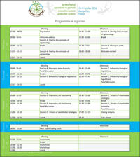 programme_at_a_glance30_08